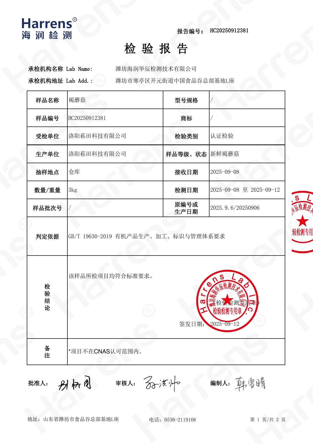 Brown Mushroom Inspection Report preview