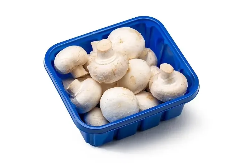 Canned Agaricus Bisporus product image