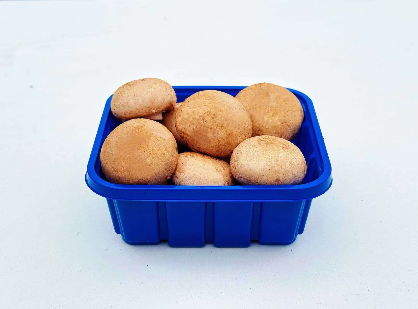 Swiss Brown / Cremini Mushroom Product