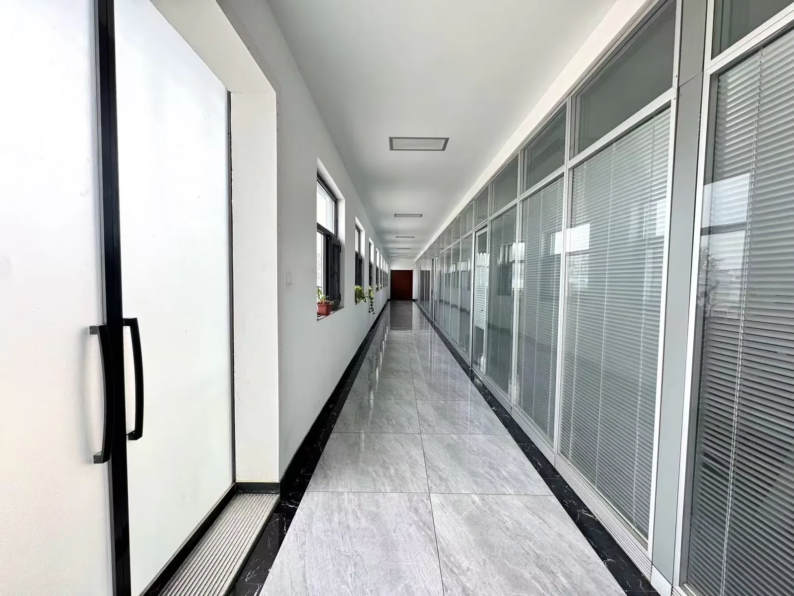 Clean corridor inside a mushroom production facility